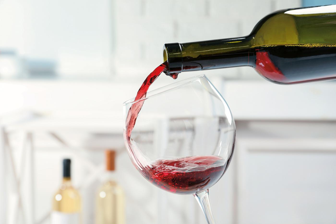 Read more about the article Tečaj za vinogradnike in vinarje