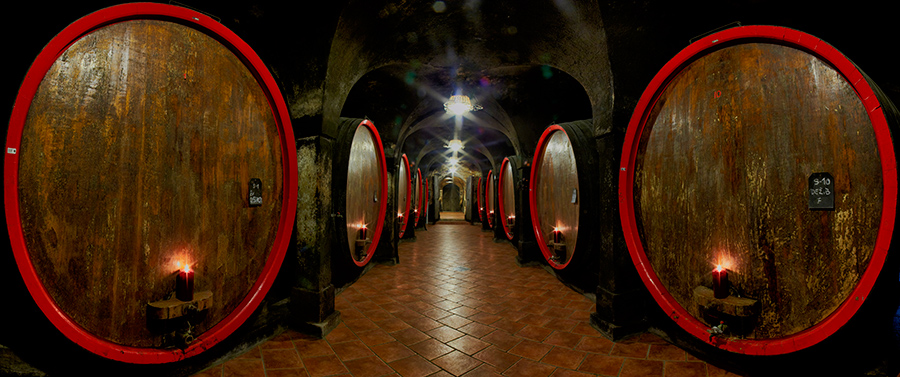 Read more about the article Vabilo na praznično popoldansko druženje