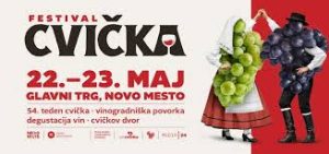 Read more about the article Festival cvička 2026
