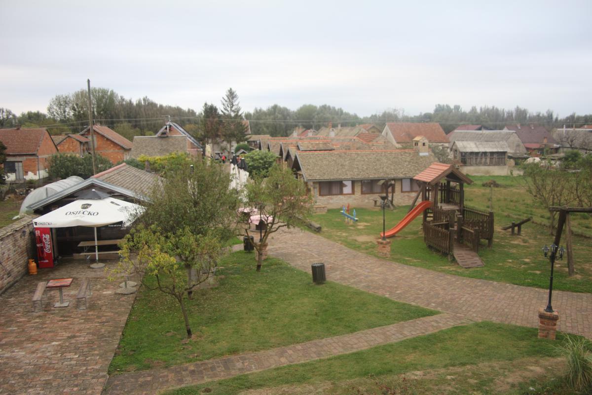 IMG 7919