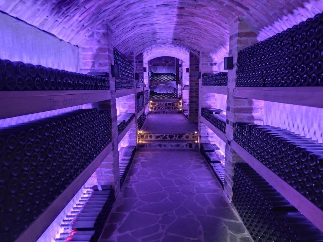 Spomladanska eksurzija 2025 (07)