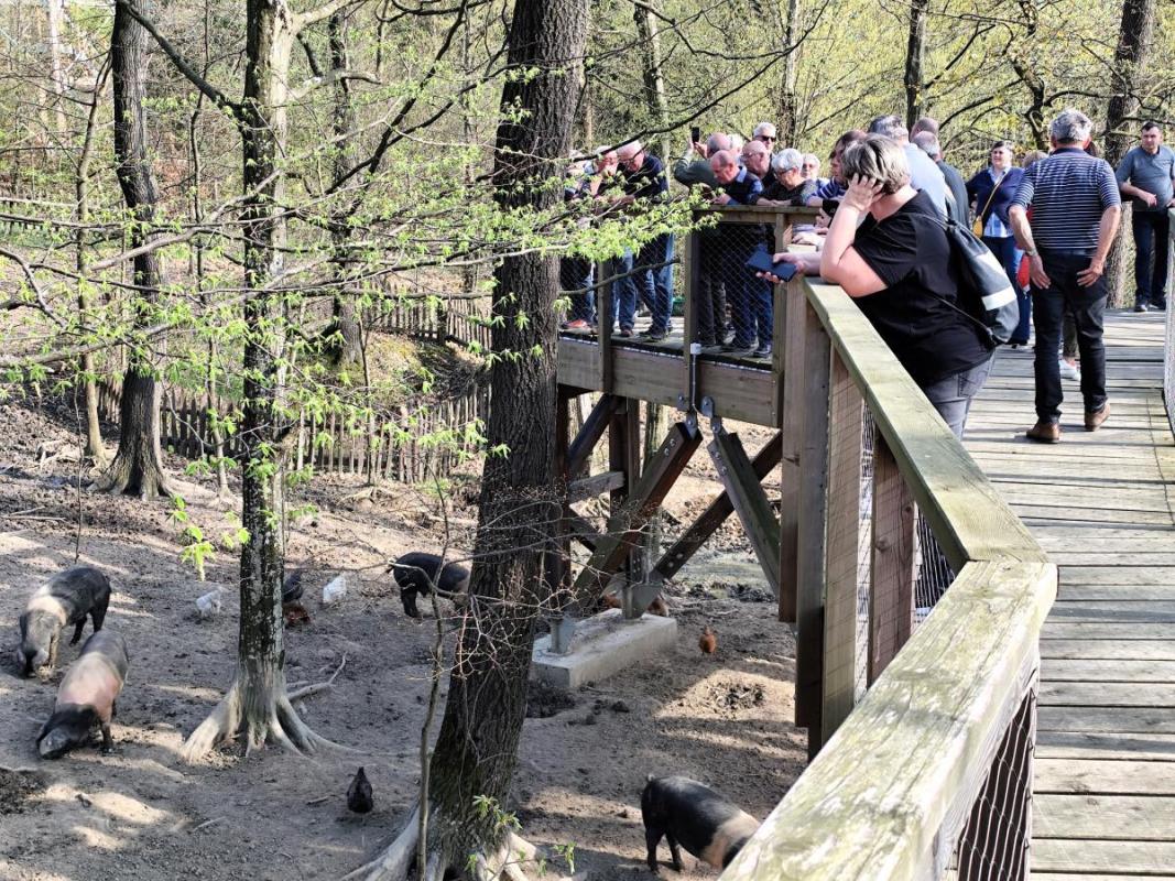 Spomladanska eksurzija 2025 (31)