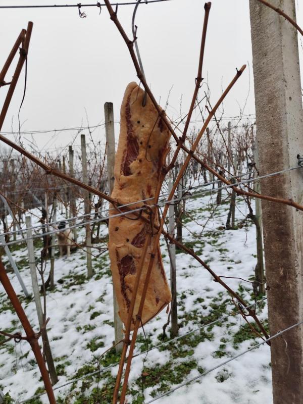 IMG 20250122 155555 (1)