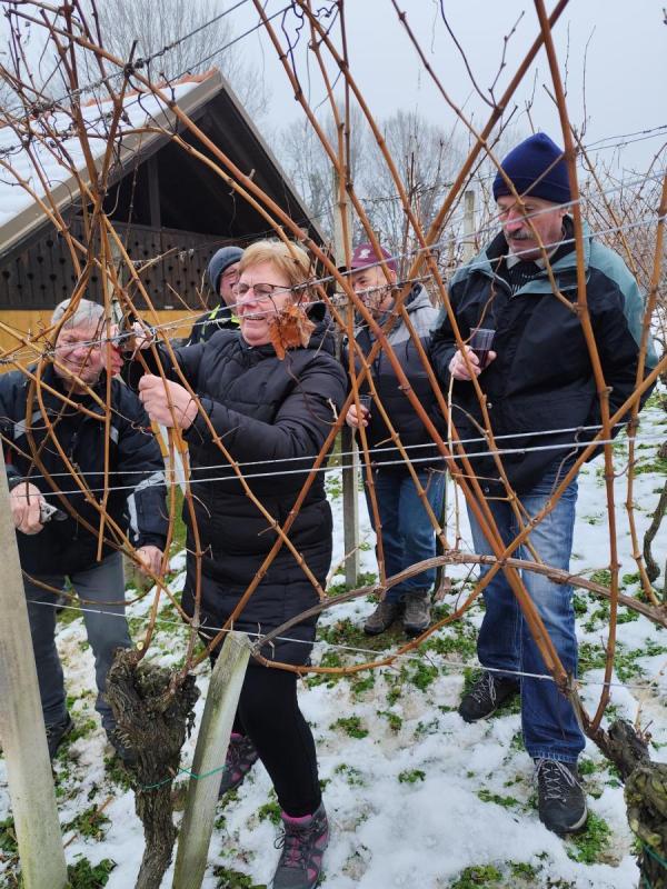 IMG 20250122 162200 (1)