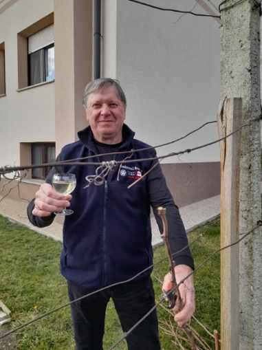 Vincenc (15)